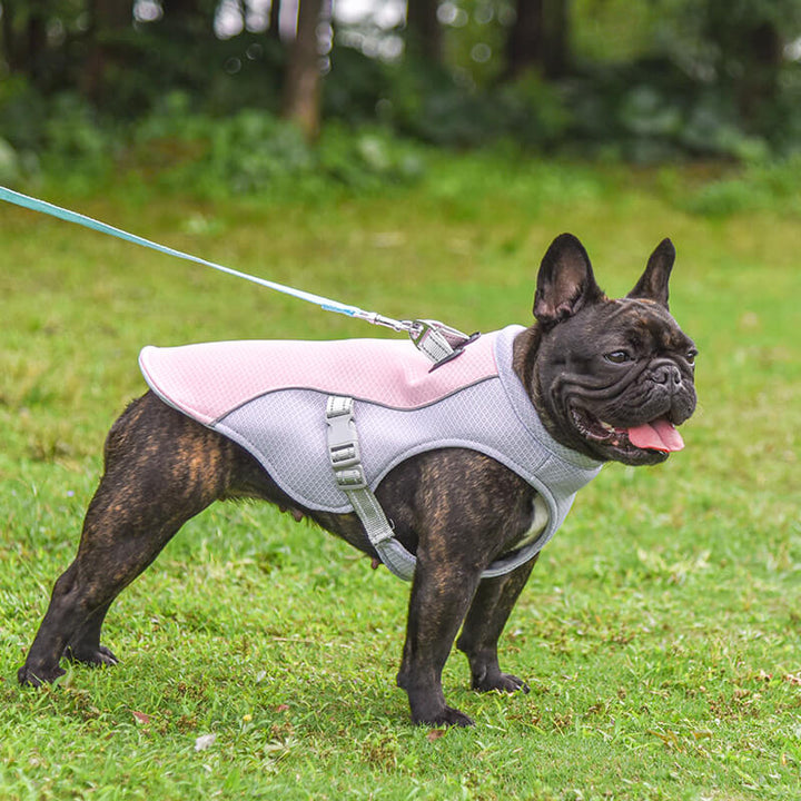 ChillCoat™ Dog Harness