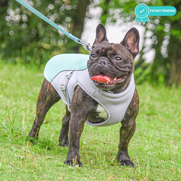 ChillCoat™ Dog Harness