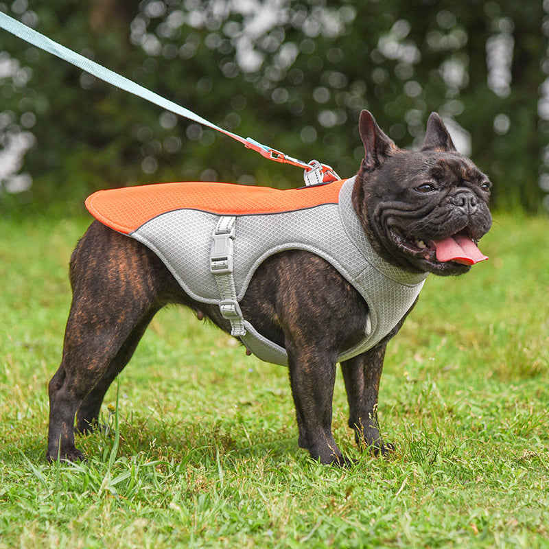 ChillCoat™ Dog Harness